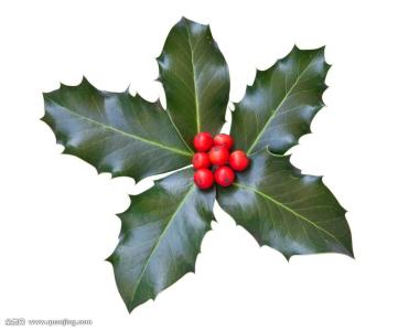 ⽻й߶¹簲ȫԺЧԡ