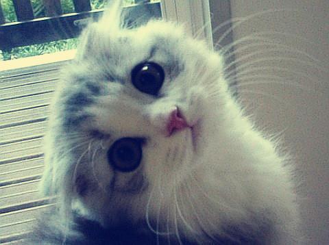 ŷ»׼202111ʱִӢŷЭ